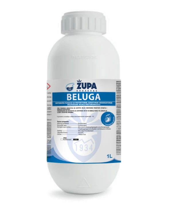 Beluga